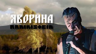 Rammstein x Степан Гіга  ЯВОРИНА by MONROTE [upl. by Akitahs]