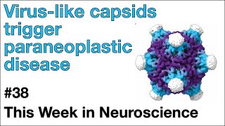 TWiN 39 Viruslike capsids trigger paraneoplastic disease [upl. by Kendricks]