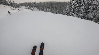 Revelstoke Cat Track Compilation [upl. by Aisatna]