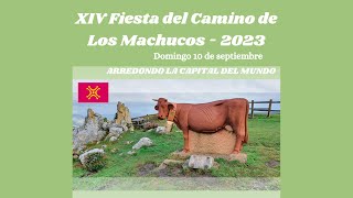 10 septiembre 2023 XIV Fiesta del camino de Los Machucos ¡tradiciones cántabras en Arredondo [upl. by Ecirehc684]