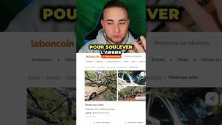 Avec ou sans l’arbre 😂  leboncoin voiture [upl. by Boyer]