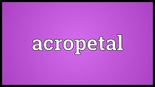 Acropetal Meaning [upl. by Filberte158]