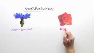 Die Indikatoren  Chemie  Allgemeine und anorganische Chemie [upl. by Aihsei214]