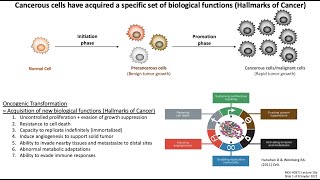 Lecture 10b Cancer Biology  Immune Evasion [upl. by Giacinta]