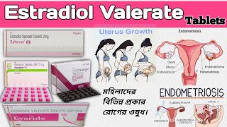 Estradiol Valerate Tablets Uses in Bengali  Progynova Tablets Evadiol Tablets  Estrabat Tab [upl. by Herwig504]