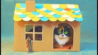 Ein Kartonhaus für Katze selbst gemacht [upl. by Lole592]