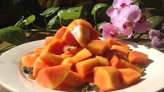 Papaya  Basic Recipe [upl. by Hastings]