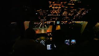 Посадка Ил96 в Шереметьево  Ilyushin Il96 Landing at UUEE Cockpit view [upl. by Thielen]