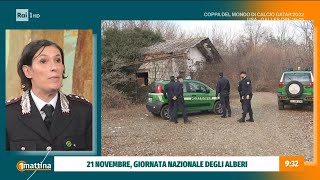 21 Novembre giornata Nazionale degli alberi  Unomattina  21112022 [upl. by Viki]