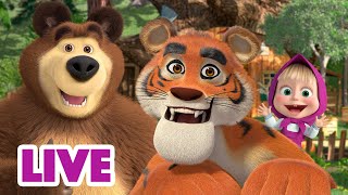 Masha and the Bear 🎬💥 LIVE STREAM 💥🎬 All episodes for kids 👶 Cartoon live best episodes [upl. by Eusebio]