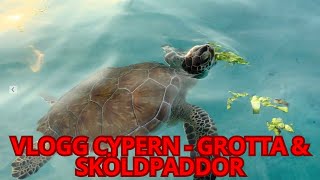 RESEVLOGG CYPERN  GROTTA amp SKÖLDPADDOR 🐢🏖🌴 [upl. by Negem290]