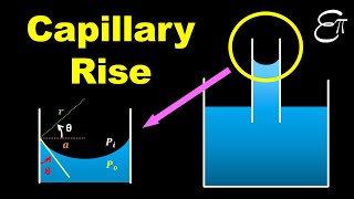 🔴 Capillary Rise  Surface Tension  for Class 11 in HINDI [upl. by Arley]