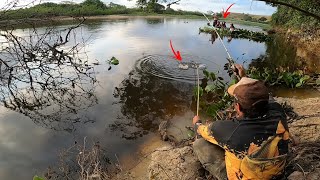 Se não tivesse filmado ninguém ia acreditar o que eles fizeram comigo Deus me deu controle emocional [upl. by Rocca]