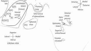 Cavernous Sinus Draw it to Know it Neuroanatomy [upl. by Ymirej]