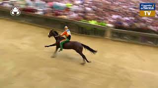 Palio di Siena 2 luglio 2023  Selva [upl. by Carlotta898]