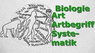 Art  Artbegriff  Systematik [upl. by Ellehcar513]