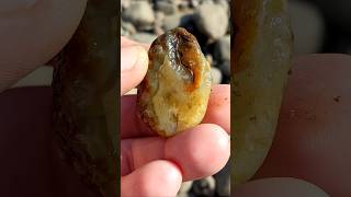 Little Beauty 🔥 agate rockhounding rocks youtubeshorts [upl. by Chouest]