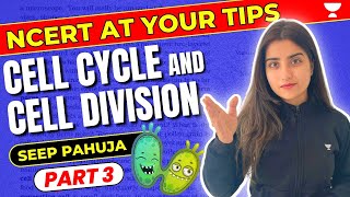 Cell Cycle and Cell Division  Part 3  NCERT at Your Tips  NEET  Seep Pahuja [upl. by Halla]