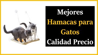 TOP 5 ✅ Mejores HAMACAS para GATOS 😻 Calidad Precio [upl. by Eikcid]