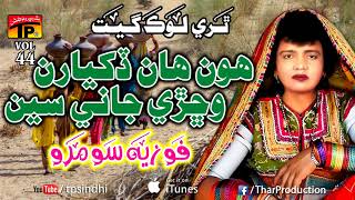 Hun Aan Dikaran  Fozia Soomro  Hits Sindhi Song  Full HD [upl. by Wes]