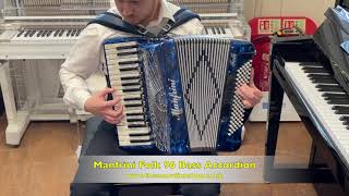 Manfrini Folk 96 Bass Accordion [upl. by Sharpe]