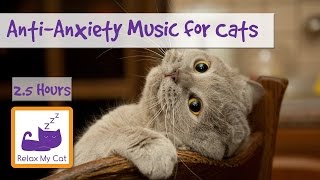 AntiAnxiety Music for Cats and Kittens Soothe your Cat with our Relaxation Music 🐱 ANXIETY05 [upl. by Cynde]