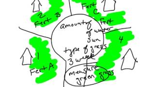 Scientific Method  Constant vs Control [upl. by Miriam958]