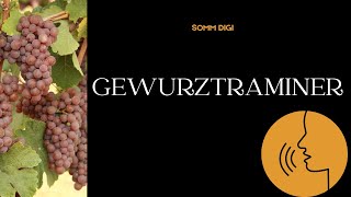 Gewurztraminer Pronunciation How to Pronounce gewurztraminer pronunciation [upl. by Chastain]