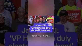 Joy on DEI accusations VP Harris is a duly elected incumbent [upl. by Arikahc]