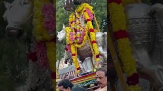 Pradosham dharshan  Agatheeswarar temple🛕  Villivakkam 🙏🏻 [upl. by Dhu]