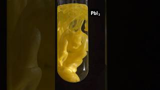 LeadII iodide experiment chemistry educational science [upl. by Uhej]