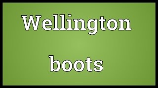 Wellington boots Meaning [upl. by Ximenes]