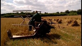 Gressenhall harvest Albion 5a reaper binder [upl. by Harewood]