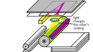 How Photocopiers Work [upl. by Elorak]