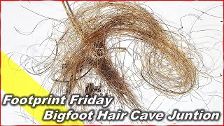 Bigfoot Hair in Cave Junction [upl. by Lemak]