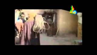 Serial Behlol e Dana  Episode 5  Urdu [upl. by Ahseiyt]