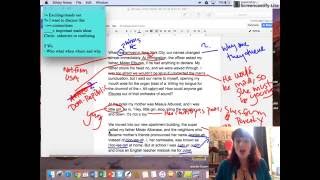 Literary Annotation Practice [upl. by Southworth544]