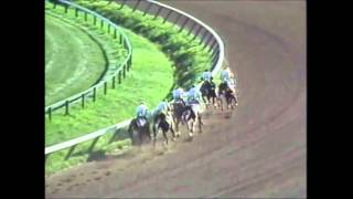 Forty Niner 1988 Travers Stakes2 [upl. by Kcid]