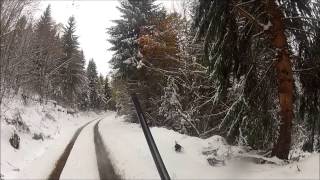 battue au sanglier dans la neige saison 20132014 tir dun sanglier wild boar hunting go pro hd [upl. by Sessylu]