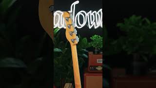 The NEW Sadowsky MetroLine Modern Deluxe Maple 4String Bass bass sadowsky sadowskybass [upl. by Lory]