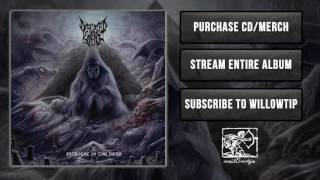 Defeated Sanity  The Bell [upl. by Michelsen]