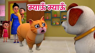 म्याऊं म्याऊं बिल्ली करती  Meow Meow Billi Karti  Hindi Rhymes for Children  Ding Dong Bells [upl. by Venus]