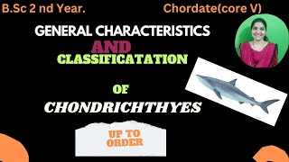 Chondrichthyes classification up to order bsc 2nd yearchondrichthyeschordatesbsc2ndyearzoology [upl. by Notecnirp]