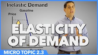 Elasticity of Demand Micro Topic 23 [upl. by Khosrow]