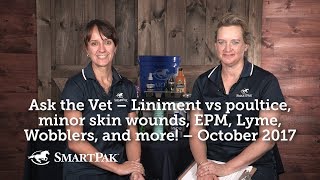 Ask the Vet – Liniment vs poultice minor skin wounds EPM Lyme Wobblers and more – October 2017 [upl. by Radburn]