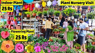 Plant Nursery visit  पौधे की कीमत 25 Rs  Plant Price with Names  Amit Nursery 🌻🌺 [upl. by Arimihc]