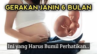 GERAKAN JANIN 6 BULAN YANG NORMAL Ibu Hamil Perhatikan Hal Ini [upl. by Brinson]