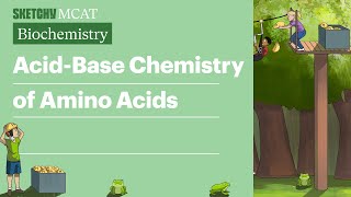 Acid Base Chemistry of Amino Acids  Sketchy MCAT Biochemistry [upl. by Pammy]