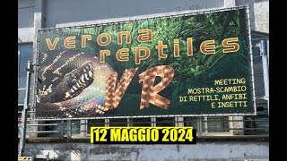 Ti portiamo in FIERA  VERONA REPTILES  12 Maggio 2024 [upl. by Bello41]