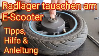 Radlager tauschen am EScooter  Ninebot Max G30D 2 Xiaomi Streetbooster Trittbrett VMax [upl. by Ttsepmet]